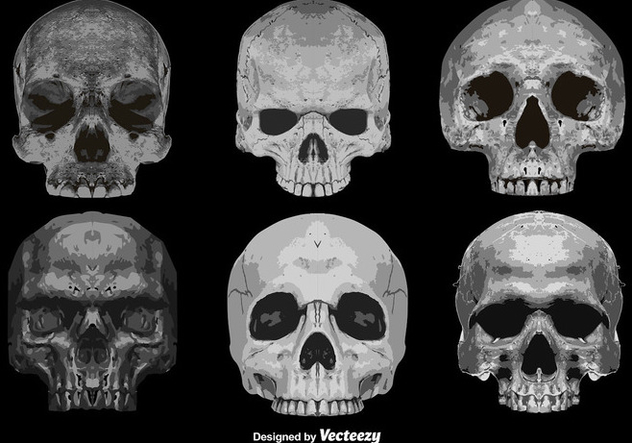 Vector Set Of 6 Abstract Skulls Detailed Icons - бесплатный vector #386767