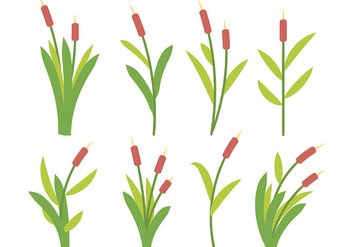 Free Cattails Icon Vector - Kostenloses vector #389307