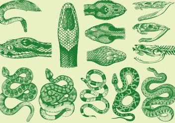 Vintage Snakes - Kostenloses vector #389887