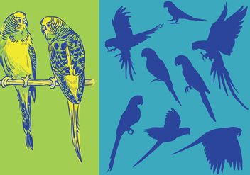 Silhouettes Parrots - бесплатный vector #393037
