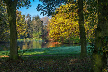 Herfst / Autumn - Steinse Groen - Haastrecht - бесплатный image #396527