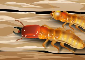 Soldier Termite - бесплатный vector #397107