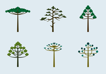 Araucaria trees vector flat - Free vector #397187