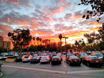 Pasadena sunset - Free image #402367