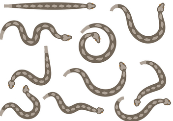 Rattlesnake Vector - бесплатный vector #402457