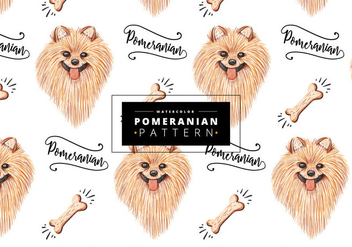 Free Pomeranian Pattern - vector #403597 gratis