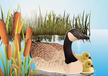 Cattails Vector With Canadian Goose - Kostenloses vector #403917
