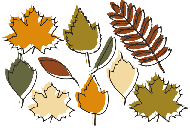 Vector Autumn Leaves - vector gratuit #404667 
