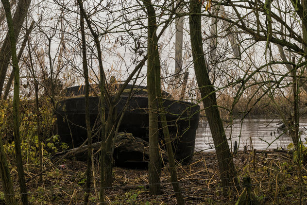 Left to rust - Old Ferryport, Zwanenplaatje, Biesbosch, Dordrecht - Free image #412417