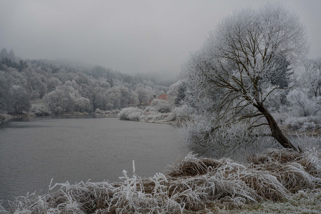 Winter Landscape - image #413057 gratis