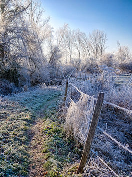 Frost Trail - бесплатный image #413297