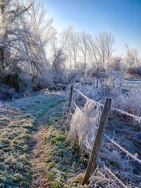 Frost Trail - image #413297 gratis