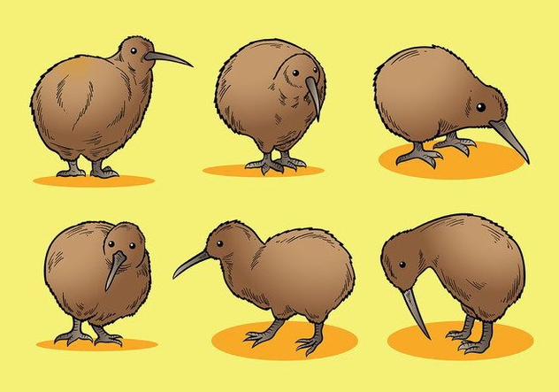Free Kiwi Bird Icons Vector - бесплатный vector #415777