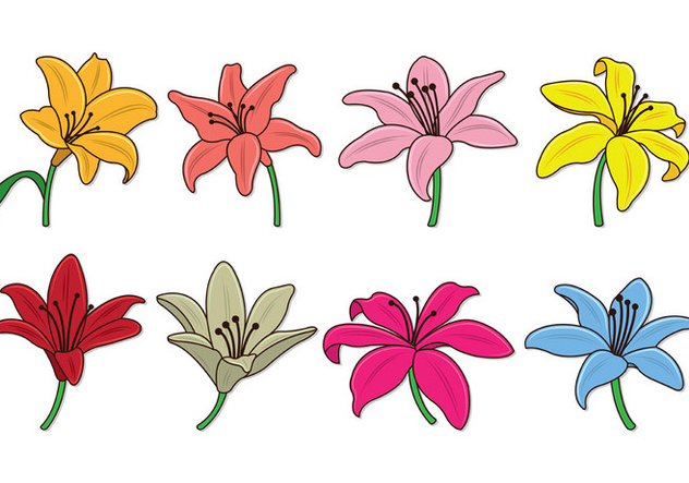 Set Of Easter Lily Vectors - Free vector #418807