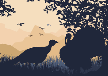 Couple Of Wild Turkey Look For Something To Eat - vector #419807 gratis