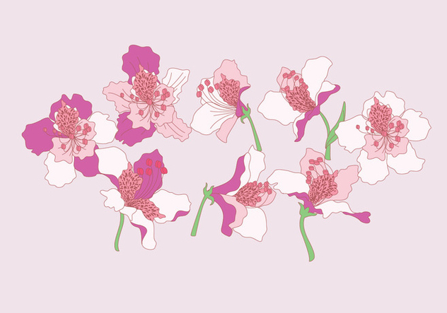 Rhododendron Flowers Vector - Free vector #435977