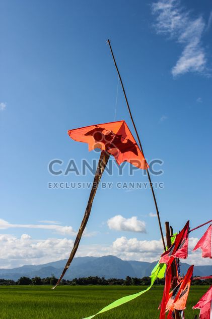 Color kite in the field and blue sky - image gratuit #439137 
