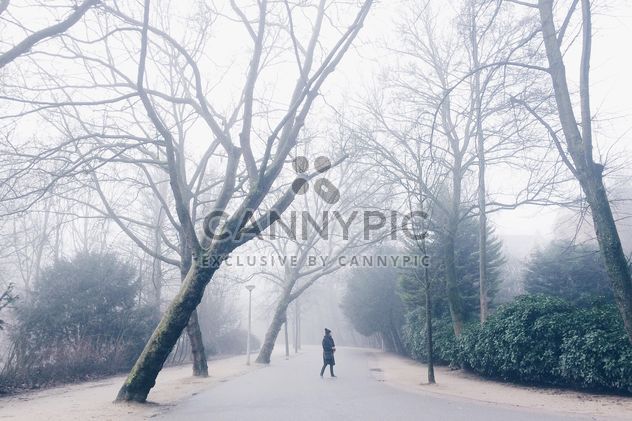 Woman and a large beautiful trees - image gratuit #439277 