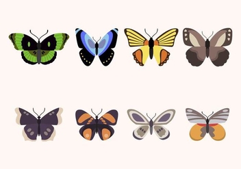 Flat Butterfly Vectors - Free vector #439437