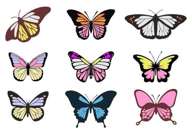 Free Colorful Butterflies Vectors - vector gratuit #441427 