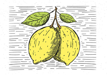 Free Hand Drawn Vector Lemon Illustration - Free vector #443517