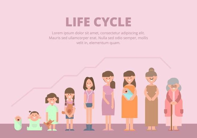 Life Cycle Illustration - Free vector #446077