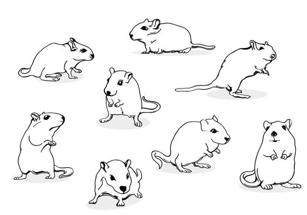 Gerbil Mouse Line Art - vector gratuit #446267 