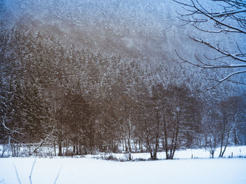 Cold as winter - image #451007 gratis