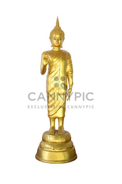 golden buddha on white background - image #452487 gratis