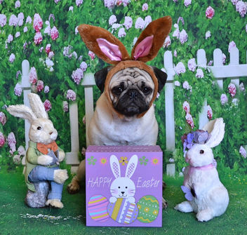 Easter Bunny Boo Lefou - image #453037 gratis