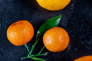 Tangerines on a branch with leaves - image #457467 gratis