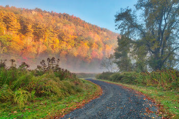 Misty Autumn McDade Trail - image #464567 gratis