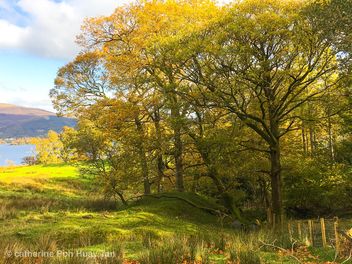 Cat Bell, Lake District, England - Free image #465247