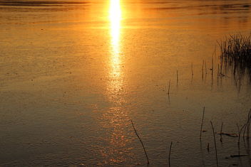 Ice,,,sunset - Kostenloses image #465467