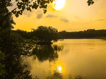 Sungei Buloh Wetland Reserve sunset, Singapore - бесплатный image #468407
