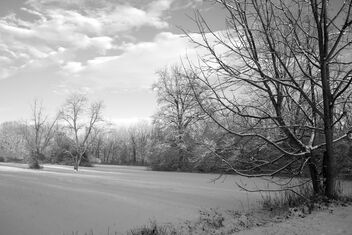 Winter in the park. Best viewed large. - image #470027 gratis