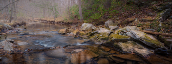 Hawlings Flowing Through Rachel Carson Conservation Park - image gratuit #471957 
