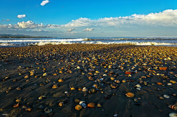 La playa de las conchas - бесплатный image #474577