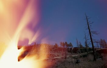 As a fire burns a forest - image #476897 gratis