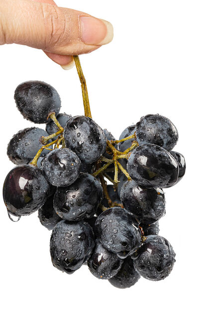 Fresh blue grapes in women hand, close up - бесплатный image #478287