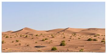 Sahara - image gratuit #479897 