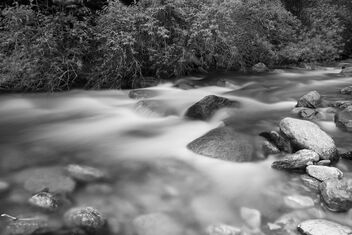 River scene - Free image #480937