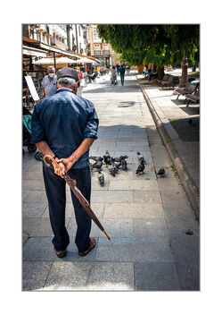 Old man with umbrella looking at pigeons - image #482727 gratis