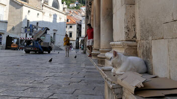 Dubrovnik - Kostenloses image #483957