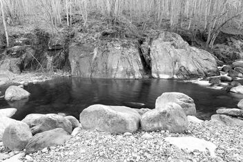 River scene - Free image #484357