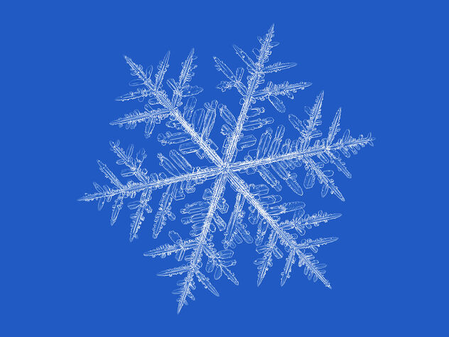 Snowflake - image #485177 gratis