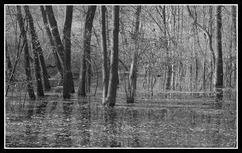 Flooded - Free image #485217