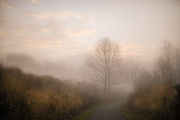 Foggy morning in Beacon - image #486387 gratis