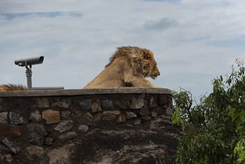 Tourist Lookout, Uganda - бесплатный image #487077
