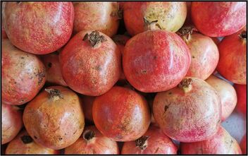 Pomegranates - Free image #487617